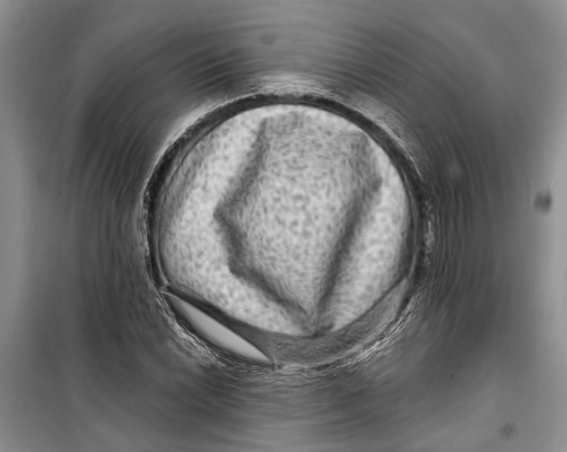 X0000098171022200805151111