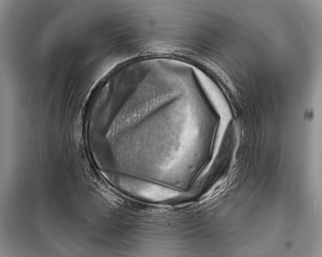 X0000098171023200805151111