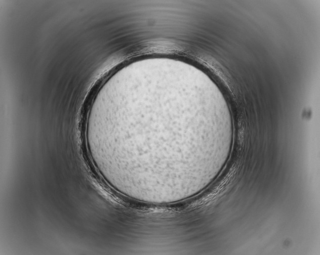 X0000098171026200805151111