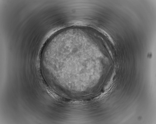 X0000098171027200805151111