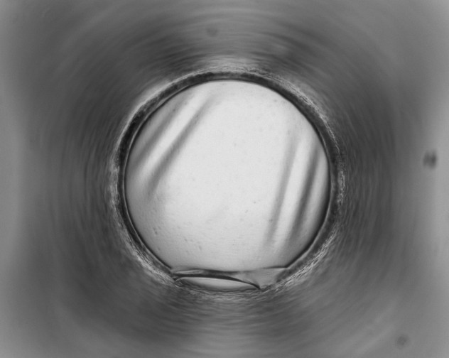 X0000098171029200805151111