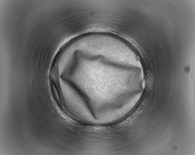 X0000098171030200805151112