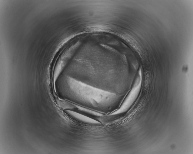 X0000098171031200805151112