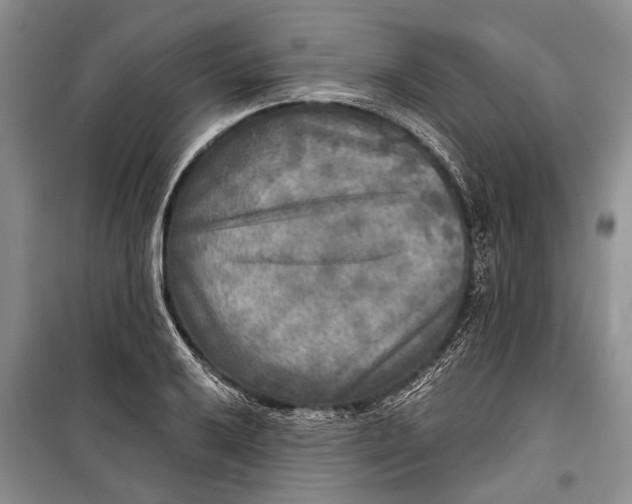 X0000098171032200805151112