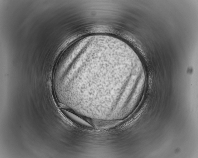 X0000098171033200805151112