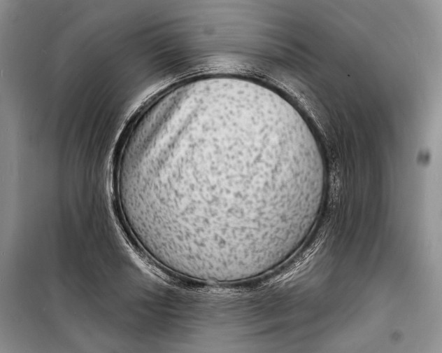 X0000098171034200805151112