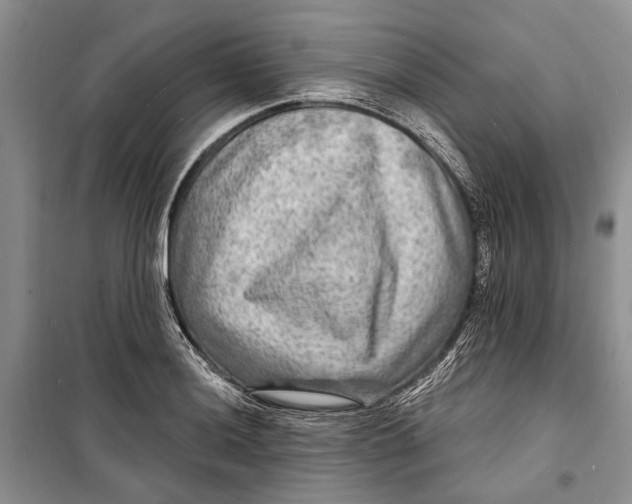 X0000098171036200805151112