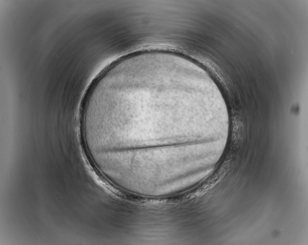 X0000098171038200805151112