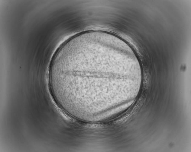 X0000098171040200805151112