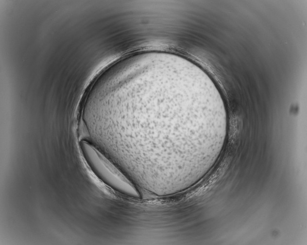 X0000098171042200805151112