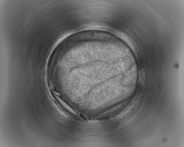 X0000098171043200805151112