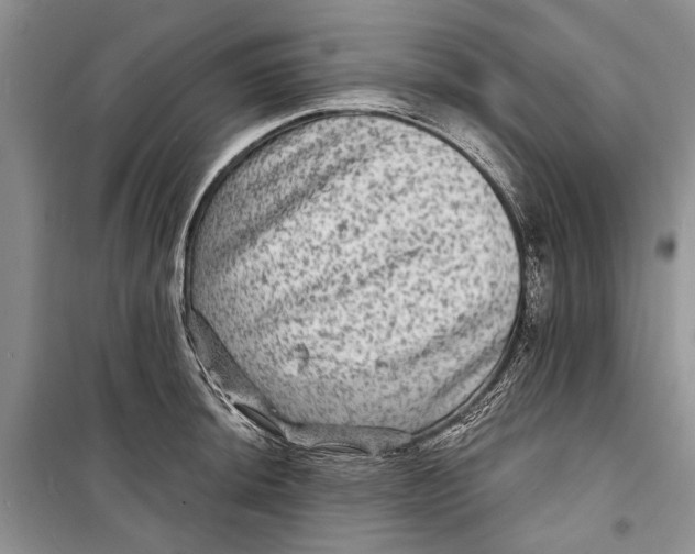 X0000098171044200805151112