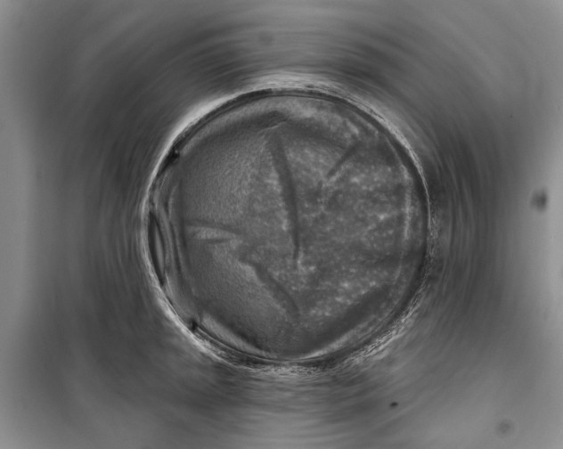 X0000098171045200805151112