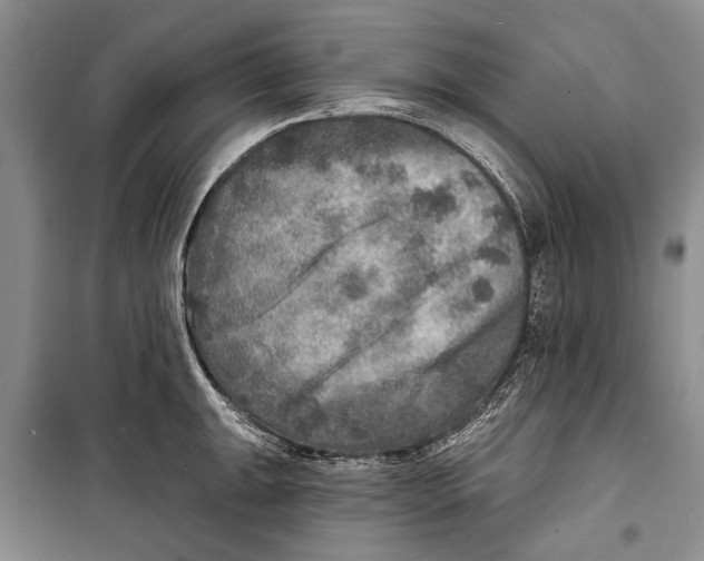 X0000098171047200805151112