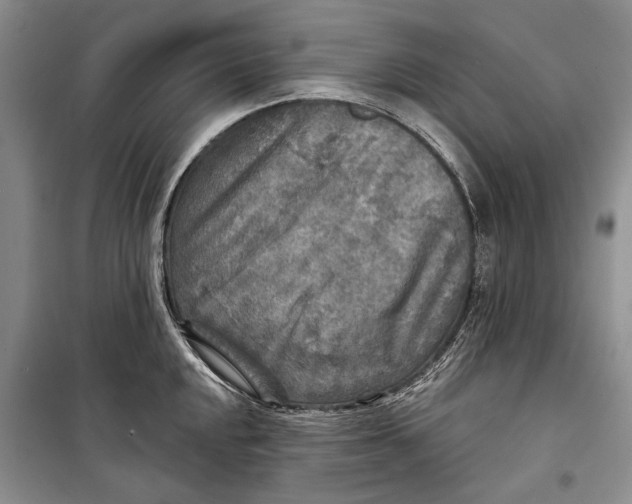 X0000098171048200805151112