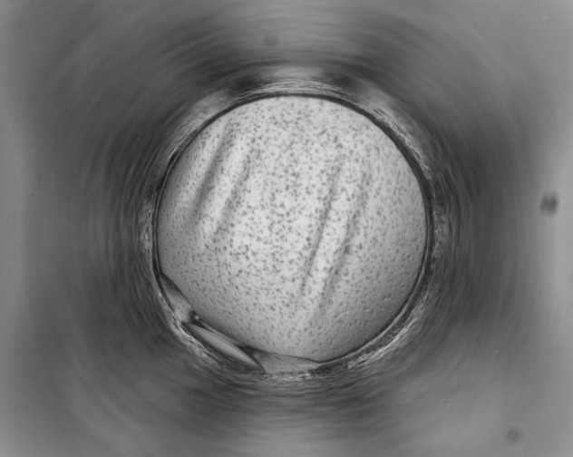 X0000098171049200805151112