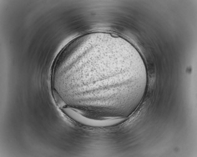 X0000098171050200805151112