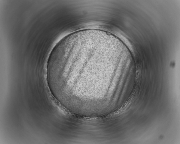 X0000098171051200805151112