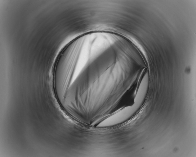 X0000098171053200805151112