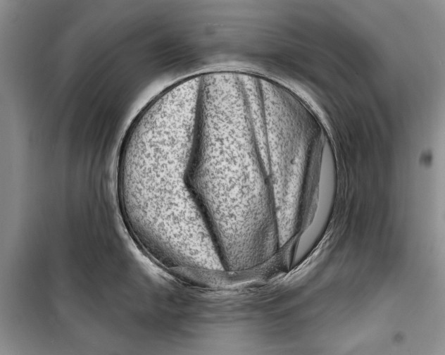 X0000098171054200805151112