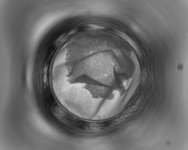 X0000098171055200805151112