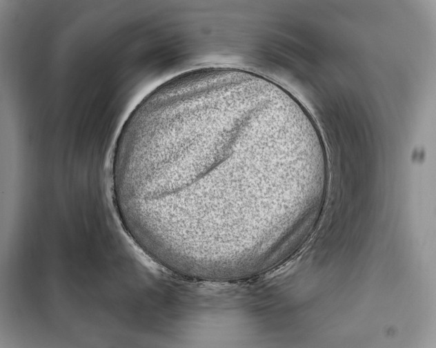 X0000098171056200805151112