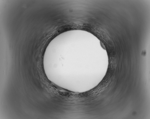 X0000098171057200805151111