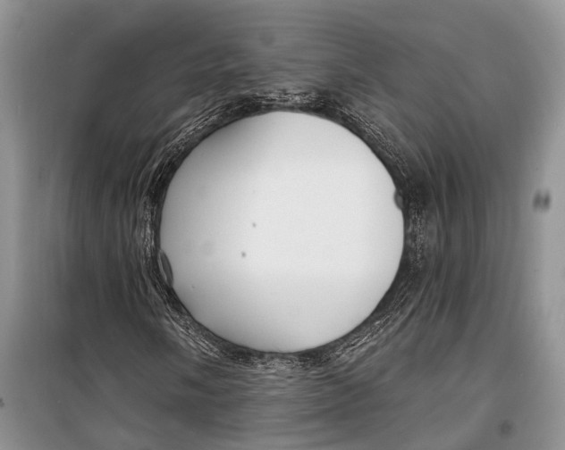 X0000098171058200805151111