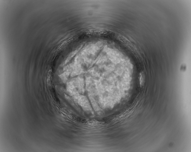 X0000098171059200805151111