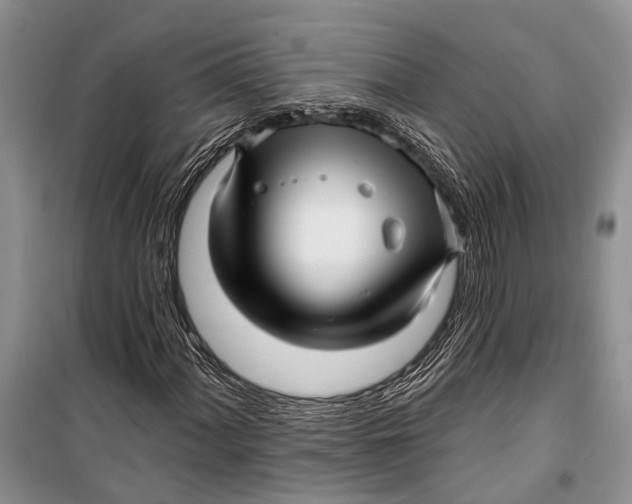 X0000098171060200805151111