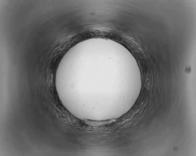 X0000098171061200805151111