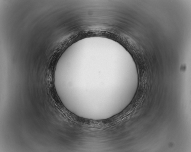 X0000098171062200805151111