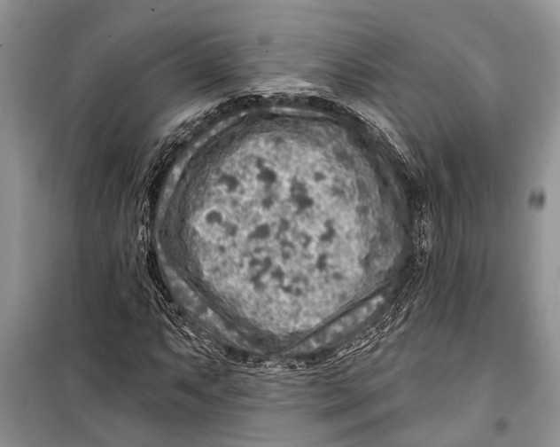 X0000098171063200805151111