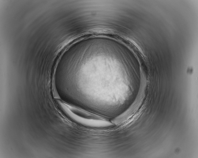 X0000098171065200805151111