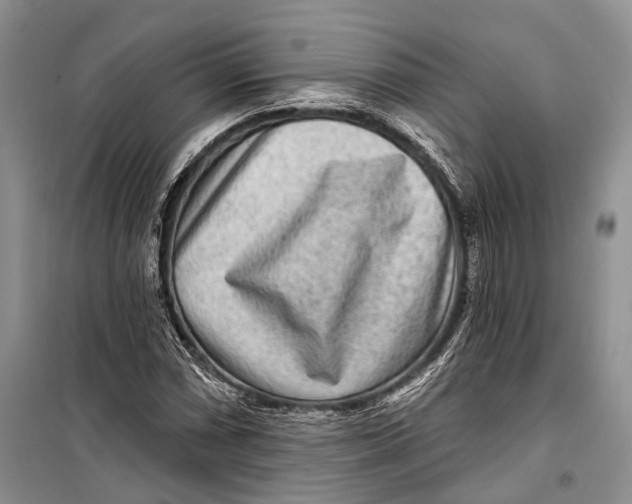 X0000098171066200805151111