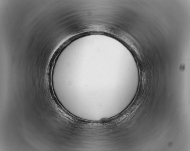 X0000098171068200805151111