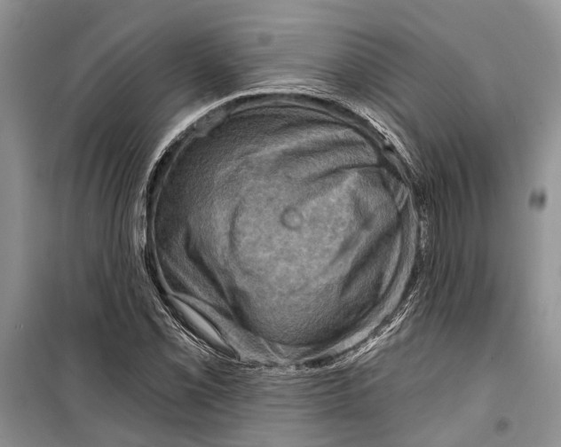 X0000098171069200805151111