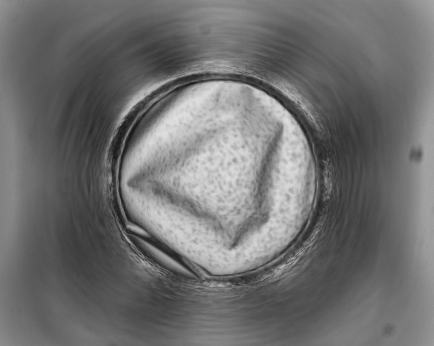 X0000098171070200805151111