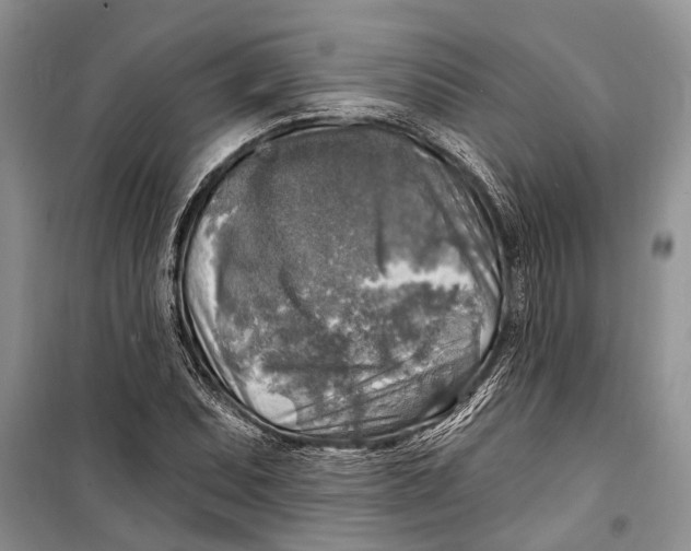 X0000098171071200805151111