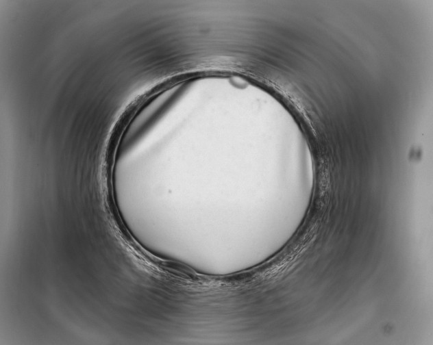 X0000098171072200805151111