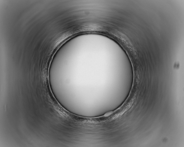 X0000098171073200805151111