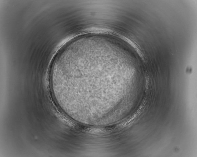 X0000098171074200805151111