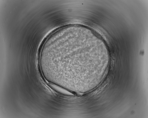 X0000098171076200805151111