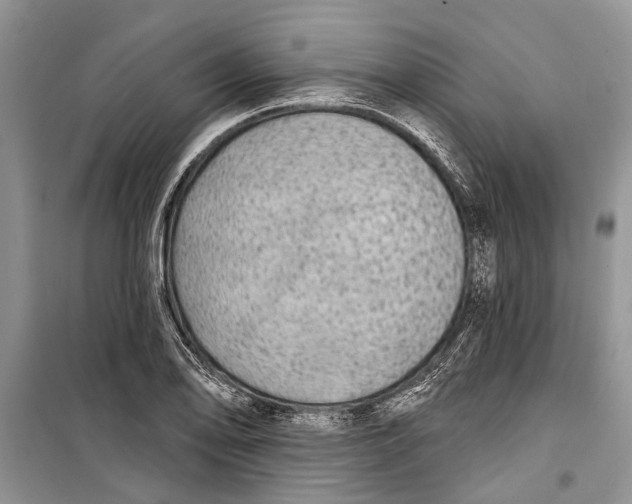 X0000098171078200805151111