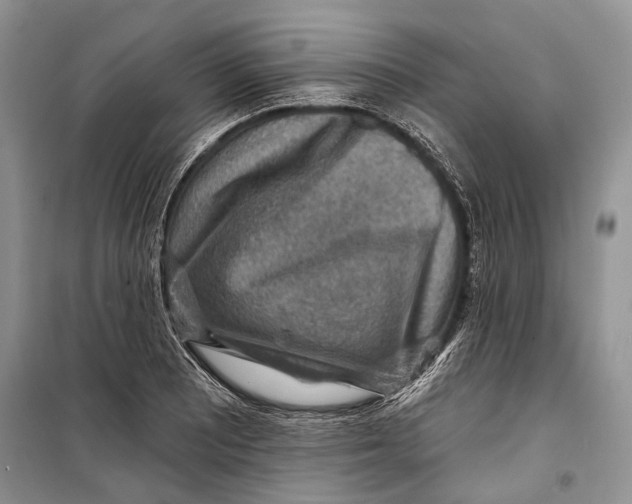 X0000098171081200805151111