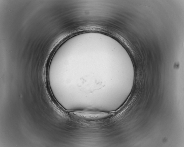 X0000098171082200805151111