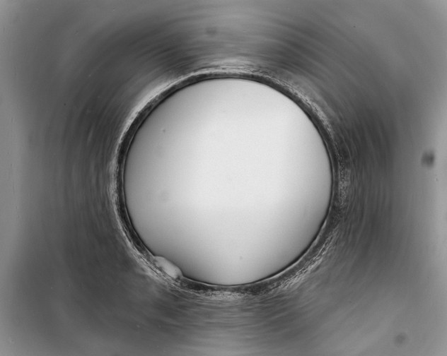 X0000098171085200805151111