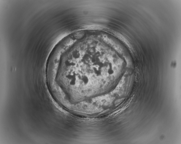 X0000098171087200805151111