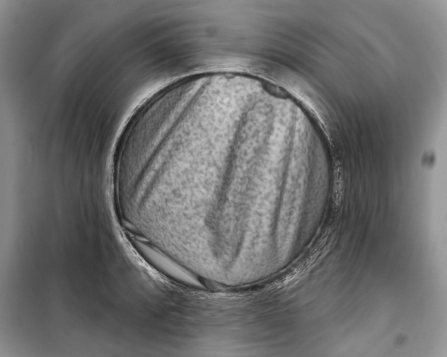 X0000098171088200805151111