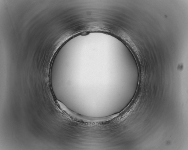 X0000098171089200805151111